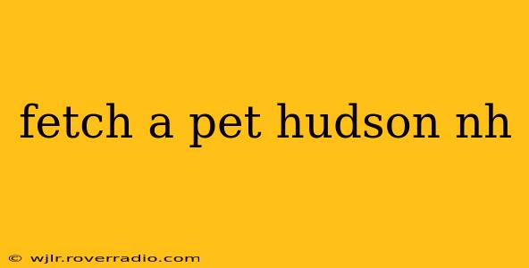fetch a pet hudson nh
