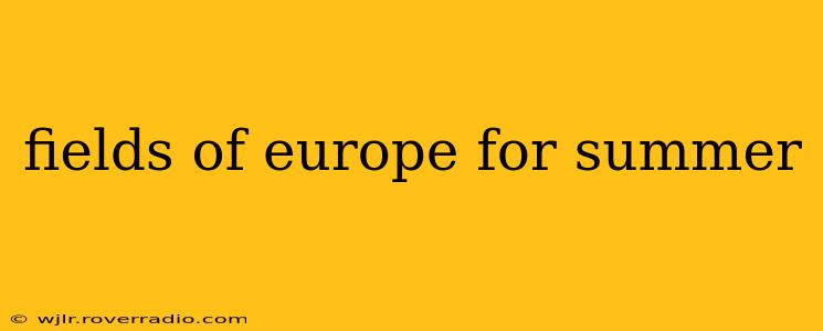 fields of europe for summer