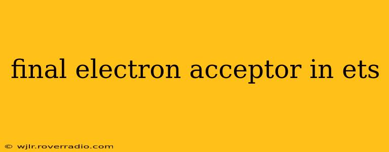 final electron acceptor in ets