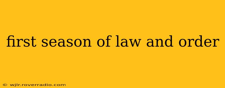 first season of law and order