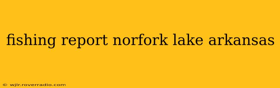 fishing report norfork lake arkansas