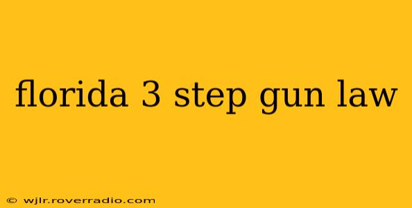 florida 3 step gun law