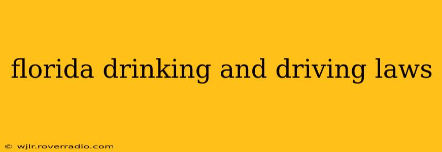 florida drinking and driving laws