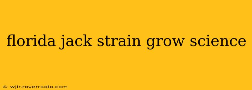 florida jack strain grow science