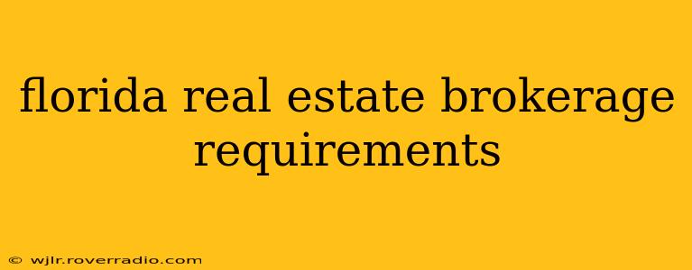 florida real estate brokerage requirements