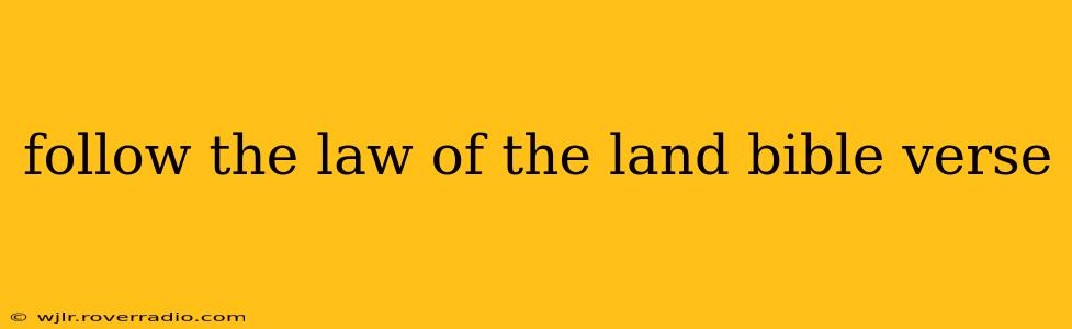 follow the law of the land bible verse