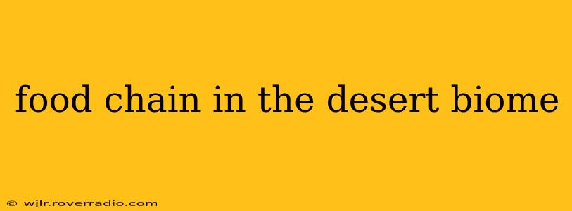 food chain in the desert biome
