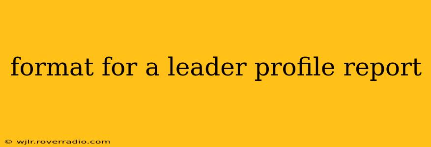 format for a leader profile report