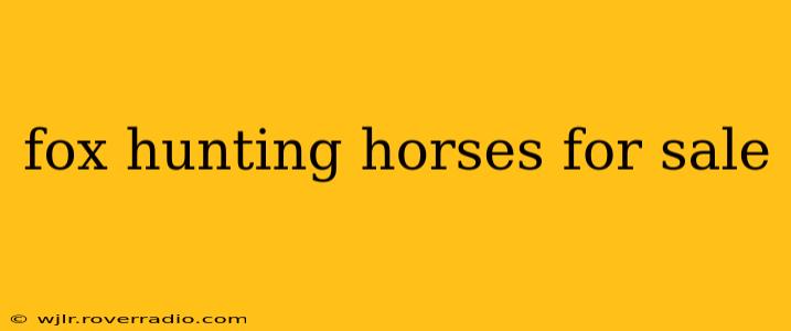 fox hunting horses for sale