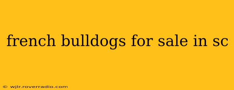 french bulldogs for sale in sc