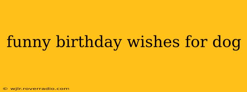 funny birthday wishes for dog