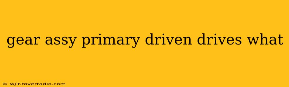 gear assy primary driven drives what
