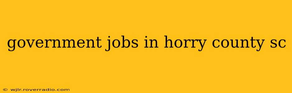 government jobs in horry county sc