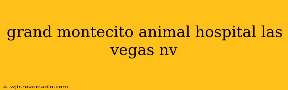 grand montecito animal hospital las vegas nv