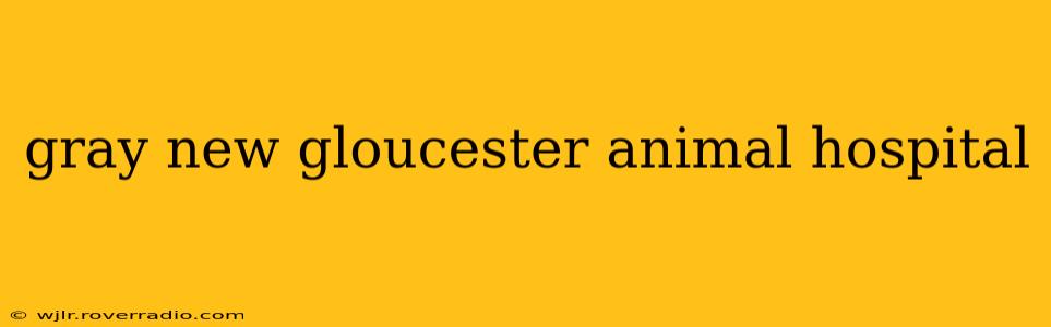 gray new gloucester animal hospital