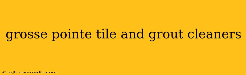 grosse pointe tile and grout cleaners