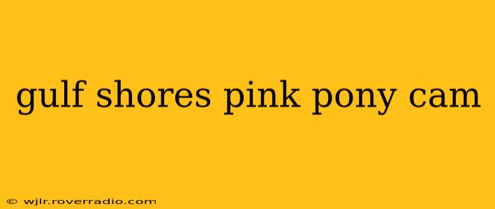gulf shores pink pony cam