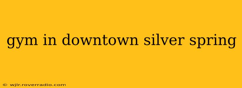 gym in downtown silver spring