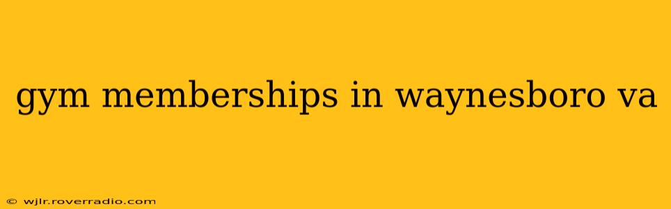 gym memberships in waynesboro va