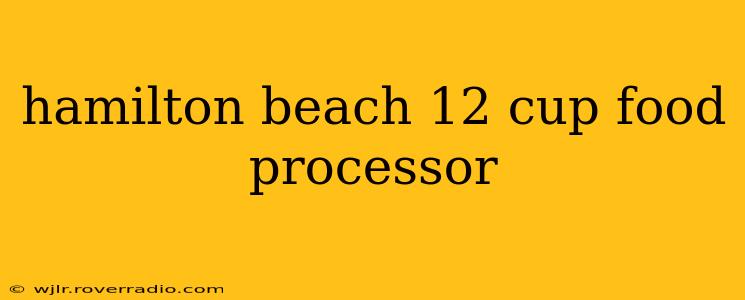 hamilton beach 12 cup food processor