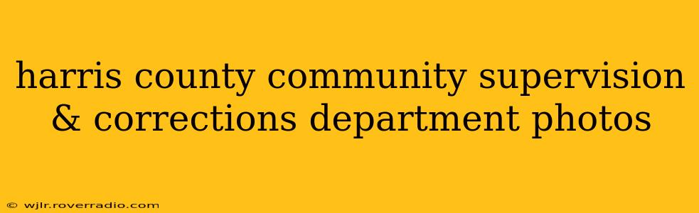 harris county community supervision & corrections department photos