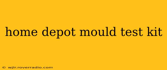 home depot mould test kit
