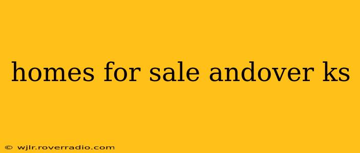 homes for sale andover ks