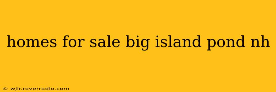 homes for sale big island pond nh