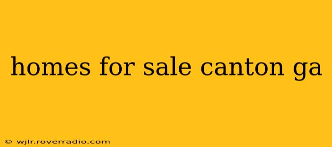 homes for sale canton ga