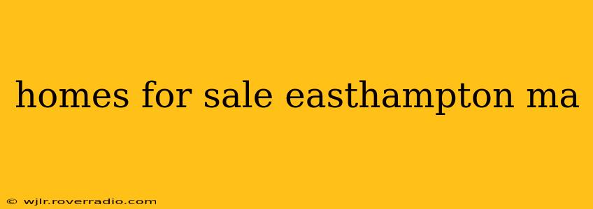 homes for sale easthampton ma