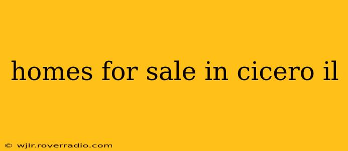 homes for sale in cicero il