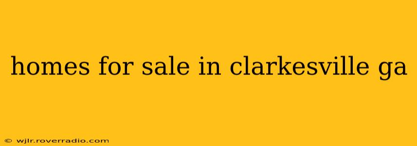 homes for sale in clarkesville ga