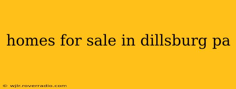 homes for sale in dillsburg pa