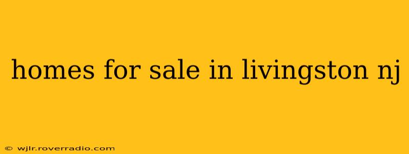 homes for sale in livingston nj