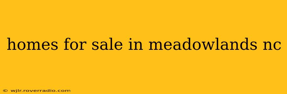 homes for sale in meadowlands nc