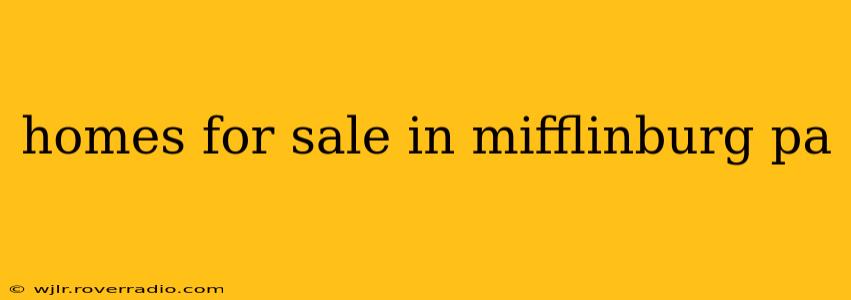 homes for sale in mifflinburg pa
