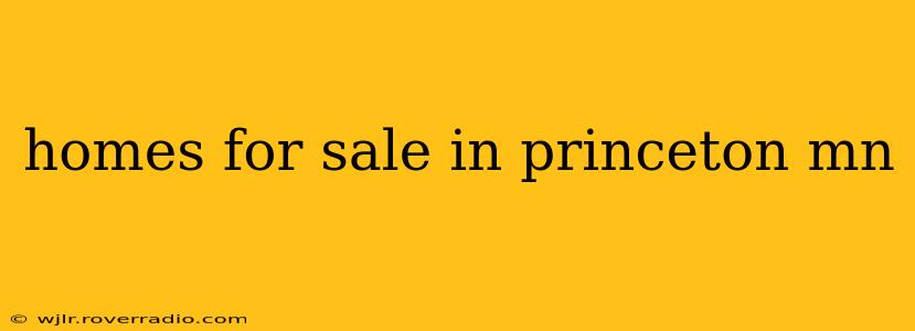 homes for sale in princeton mn