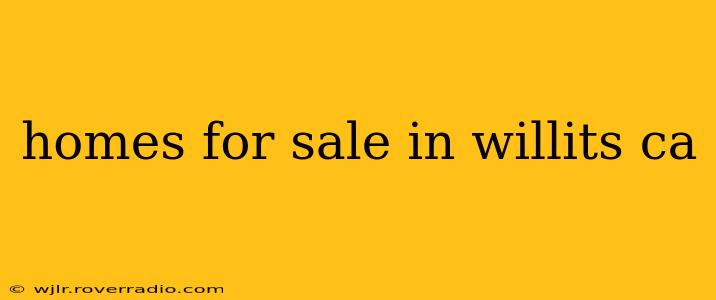 homes for sale in willits ca