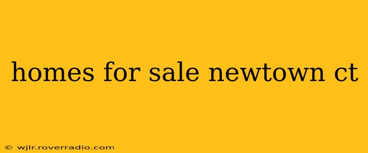 homes for sale newtown ct