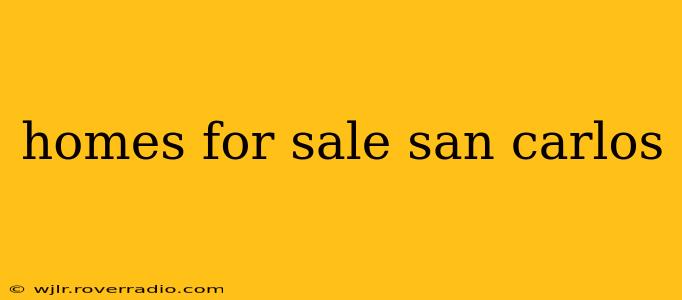 homes for sale san carlos