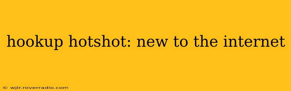 hookup hotshot: new to the internet