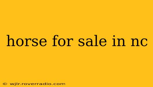 horse for sale in nc