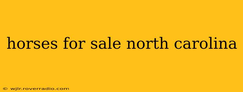 horses for sale north carolina
