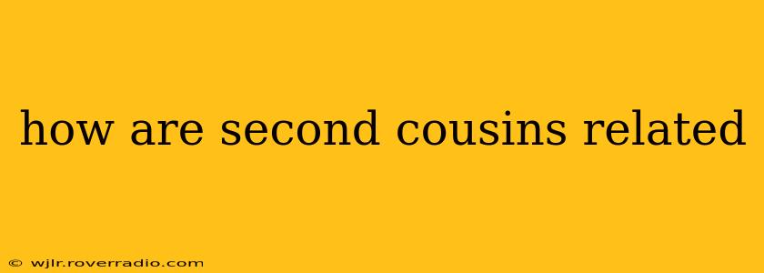 how are second cousins related