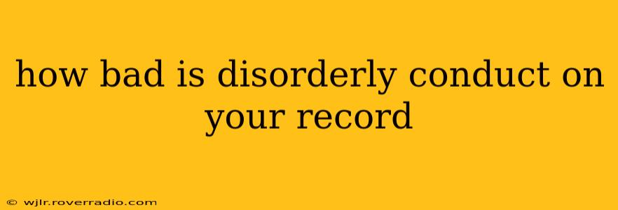 how bad is disorderly conduct on your record