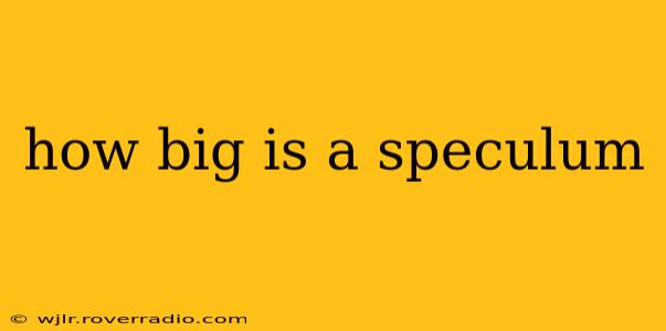 how big is a speculum