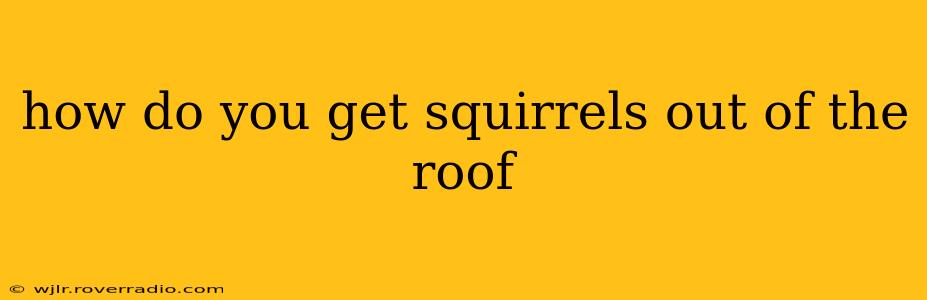 how do you get squirrels out of the roof