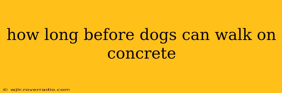 how long before dogs can walk on concrete