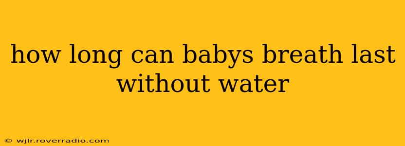 how long can babys breath last without water