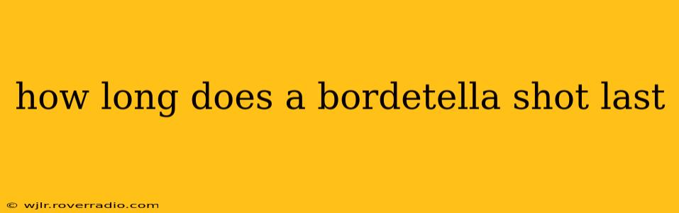 how long does a bordetella shot last